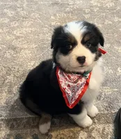 processed/4b6f4433-0775-442a-b5e6-110ef1a1c584/facility/fe669bdf-e4e9-4de9-a113-89c6af8fecf9