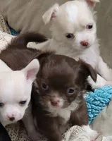 processed/4b72752a-dc48-4cbf-888c-ccd09174fa64/listing/629ab897-6a14-47d0-8615-8201fce25ad1/1535cd1f-6687-4689-803e-fab940e14a33