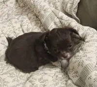 processed/4b72752a-dc48-4cbf-888c-ccd09174fa64/listing/629ab897-6a14-47d0-8615-8201fce25ad1/4a8a706b-6534-466c-875c-18a773d72dd7