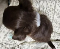 processed/4b72752a-dc48-4cbf-888c-ccd09174fa64/listing/629ab897-6a14-47d0-8615-8201fce25ad1/a3f528ac-5689-47e7-81cc-640b01318b17