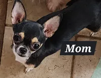 processed/4b72752a-dc48-4cbf-888c-ccd09174fa64/listing/629ab897-6a14-47d0-8615-8201fce25ad1/d0d1d934-f64d-45a8-a2d1-4019bd96045b