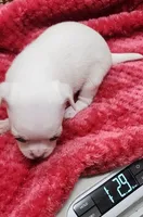 processed/4b72752a-dc48-4cbf-888c-ccd09174fa64/listing/c1a0f0dd-984b-4b3b-8fe2-24b3f78b0136/d7eb112b-0450-46f5-a8d5-99ff1c392a86