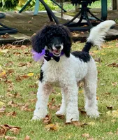 processed/4b77beef-6f81-4867-85e9-06617b6a19db/listing/21a52c79-3a1a-4cc1-ac8d-ffd3592e7052/d83e7716-bb42-4b08-844a-0268d20516d8