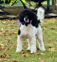 processed/4b77beef-6f81-4867-85e9-06617b6a19db/listing/21a52c79-3a1a-4cc1-ac8d-ffd3592e7052/ec009753-7220-4177-a3cb-73a7f78d54c4