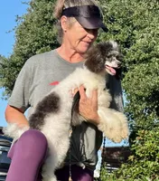 processed/4b77beef-6f81-4867-85e9-06617b6a19db/listing/21ae6eb4-c3dc-4891-8d9e-d3c230c9e842/64ce7cef-9113-40bd-9cf1-48a95e5c2f78