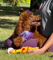 processed/4b77beef-6f81-4867-85e9-06617b6a19db/listing/58366fbf-5563-46c9-ace7-22f938ba533b/07946618-22ff-42f1-9829-5c24d14a316e