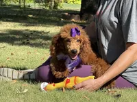 processed/4b77beef-6f81-4867-85e9-06617b6a19db/listing/58366fbf-5563-46c9-ace7-22f938ba533b/b880e734-829d-4461-a574-67b84b205f41