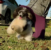 processed/4b77beef-6f81-4867-85e9-06617b6a19db/listing/9e8807f4-ff5a-4a4d-8e88-4abb873cfac5/16af8d8c-e772-405e-9ecd-b7dbea4d0f8f