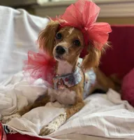 processed/4b77beef-6f81-4867-85e9-06617b6a19db/listing/cbb42289-def0-48be-a7bb-2900dd605805/9c9620b2-5121-4427-88b1-139163e823ff