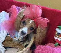 processed/4b77beef-6f81-4867-85e9-06617b6a19db/listing/cbb42289-def0-48be-a7bb-2900dd605805/a5714cb4-9dd0-48fb-895f-1bc209ad04dc