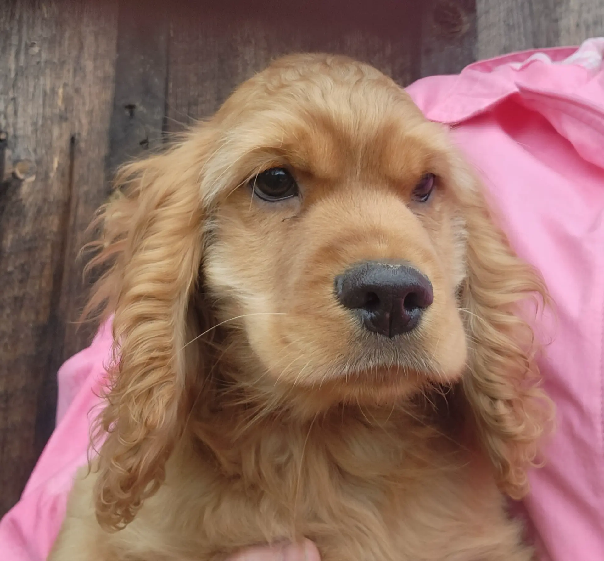 processed/4b85b30c-32c7-4ec5-ab51-2e961770d143/listing/06355664-9f2b-4931-a852-bd51fc02c040/593068d8-684a-45ae-b3a2-d8efc11326ee