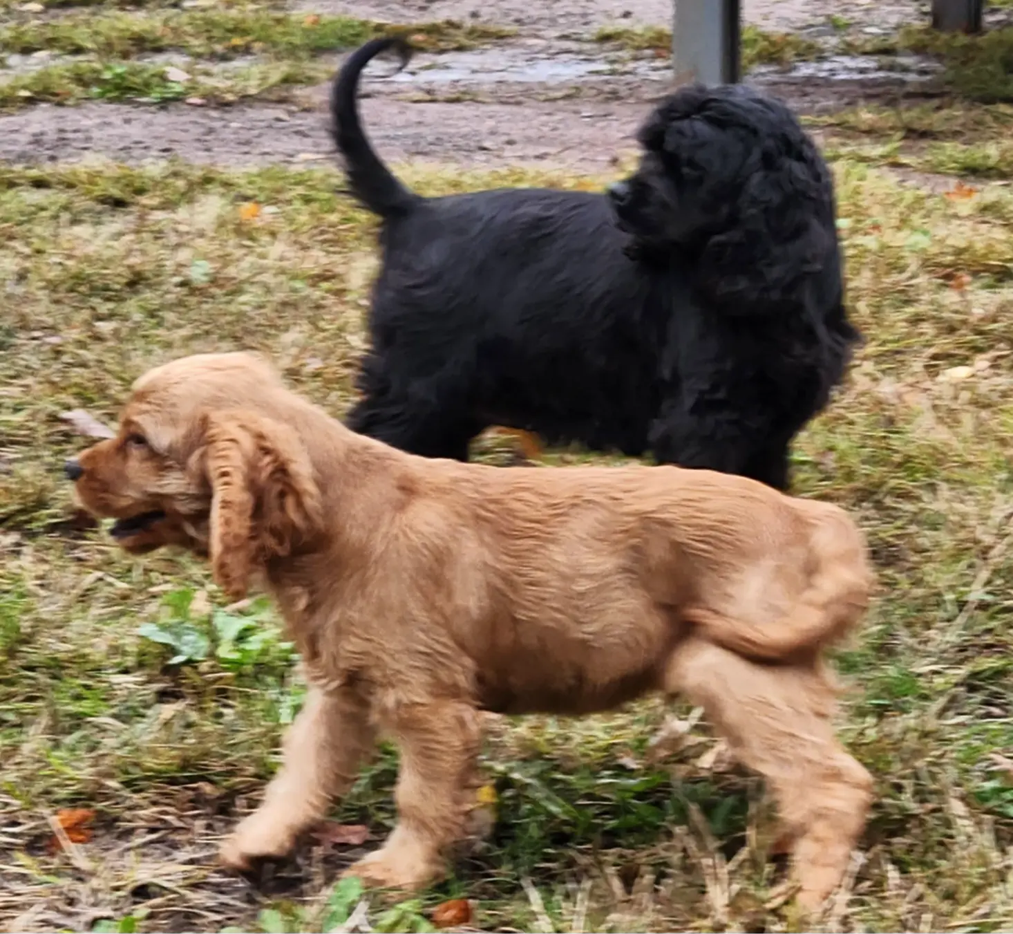 processed/4b85b30c-32c7-4ec5-ab51-2e961770d143/listing/06355664-9f2b-4931-a852-bd51fc02c040/98240189-ff0d-40aa-93c0-c5f3c2a36578