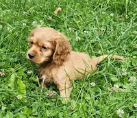 processed/4b85b30c-32c7-4ec5-ab51-2e961770d143/listing/06355664-9f2b-4931-a852-bd51fc02c040/f76cd7e7-d58f-44a7-b7e7-8fa59dd2d5b8