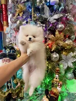 processed/4b8dfd10-c92f-489d-8f3d-d0e0c6d1f4df/listing/768817fc-7714-4326-82f3-336eaee013f7/0ef3324f-7689-443d-8d86-e6b5605117d0