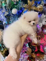 processed/4b8dfd10-c92f-489d-8f3d-d0e0c6d1f4df/listing/768817fc-7714-4326-82f3-336eaee013f7/dce5611e-fb4d-45c2-af81-f5364f7ac54a