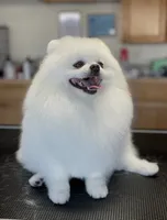 processed/4b8dfd10-c92f-489d-8f3d-d0e0c6d1f4df/listing/768817fc-7714-4326-82f3-336eaee013f7/f8fd2b56-a375-40d7-9669-b8b05568c806