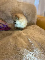 processed/4b8dfd10-c92f-489d-8f3d-d0e0c6d1f4df/listing/81cbcefc-26f7-4f25-a8b6-4902c47f73cd/029962b4-b75c-41f0-b760-ee688a61e224