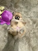 processed/4b8dfd10-c92f-489d-8f3d-d0e0c6d1f4df/listing/81cbcefc-26f7-4f25-a8b6-4902c47f73cd/19a44ae7-47d9-4a4d-89d7-c42c202574a8