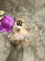 processed/4b8dfd10-c92f-489d-8f3d-d0e0c6d1f4df/listing/81cbcefc-26f7-4f25-a8b6-4902c47f73cd/5b5dbd68-4627-44d2-a14e-59cbff7a8ef3