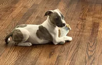 Tiny Ma , a female American Staffordshire Terrier for sale in Hartsville, SC – 3 of 4