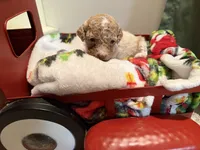 processed/4b8f720d-6725-4097-8065-c13f3b23fff0/listing/595ecd2e-2a97-4840-a25c-06301bf33bc5/0907247b-cf4f-4b8e-a9d8-defbc0e7a2ec