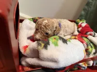 processed/4b8f720d-6725-4097-8065-c13f3b23fff0/listing/595ecd2e-2a97-4840-a25c-06301bf33bc5/6fbbc672-f087-449b-a16b-9b785118abd2