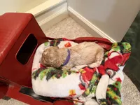 processed/4b8f720d-6725-4097-8065-c13f3b23fff0/listing/595ecd2e-2a97-4840-a25c-06301bf33bc5/a3e653fc-8375-43ed-805f-c0cf161af8c5