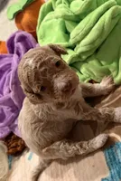 processed/4b8f720d-6725-4097-8065-c13f3b23fff0/listing/595ecd2e-2a97-4840-a25c-06301bf33bc5/ad37bfe0-e309-4497-9318-e6eb4909f873