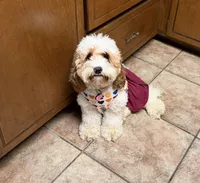 processed/4b8f720d-6725-4097-8065-c13f3b23fff0/listing/62a4ce7f-8c7e-4bea-91c4-5e5f19f1223f/14d1b202-3b0e-4467-bfd2-537edde3b8b8