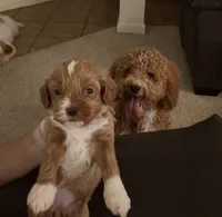 processed/4b8f720d-6725-4097-8065-c13f3b23fff0/listing/62a4ce7f-8c7e-4bea-91c4-5e5f19f1223f/50522715-4c63-4aa1-81bc-ec1fa4a2e975