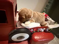 processed/4b8f720d-6725-4097-8065-c13f3b23fff0/listing/62a4ce7f-8c7e-4bea-91c4-5e5f19f1223f/e32988e0-1309-40ed-b388-7031c90969aa