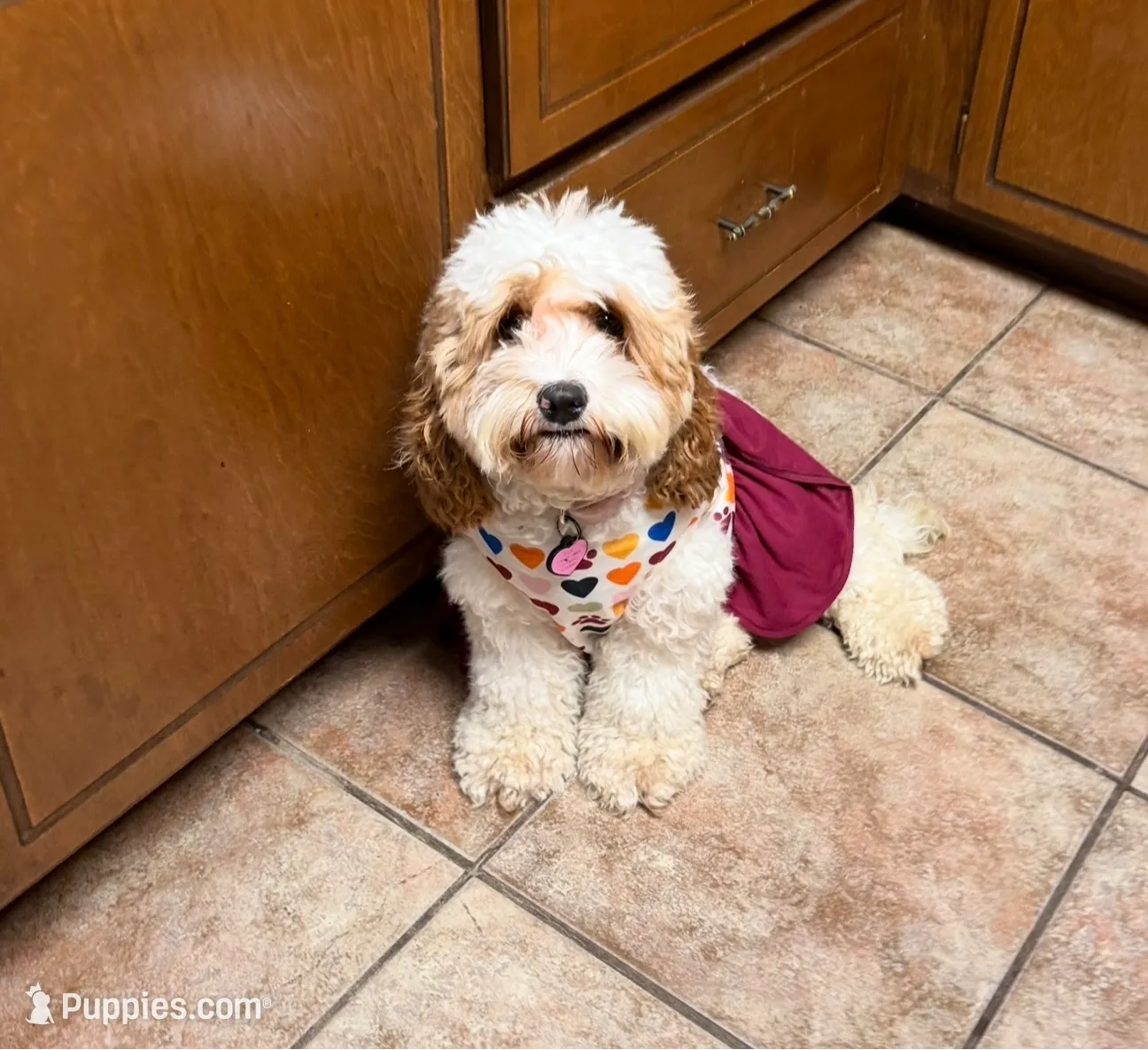 processed/4b8f720d-6725-4097-8065-c13f3b23fff0/listing/9b278d6f-b0e2-4e83-93ad-5e6497cec38f/76679c59-a5e9-4e77-8a58-063ad948f5f4