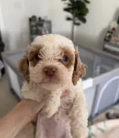 processed/4b8f720d-6725-4097-8065-c13f3b23fff0/listing/9b278d6f-b0e2-4e83-93ad-5e6497cec38f/94357cc7-c620-4c96-a7a7-897ecc00d6e1