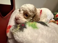 processed/4b8f720d-6725-4097-8065-c13f3b23fff0/listing/9b278d6f-b0e2-4e83-93ad-5e6497cec38f/aa28556e-4f93-4af2-b841-5c3ef8531259