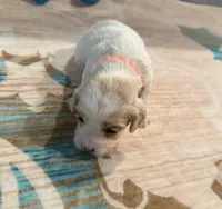 processed/4b8f720d-6725-4097-8065-c13f3b23fff0/listing/a2002fd9-8d29-4cd2-82a8-d2d228211201/3cfecf24-5bfe-4fd0-833b-0bbdc8a10ae4