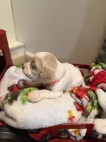 processed/4b8f720d-6725-4097-8065-c13f3b23fff0/listing/a2002fd9-8d29-4cd2-82a8-d2d228211201/482d761c-47de-41f5-bea1-b9cf78b6d96e