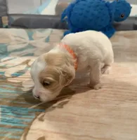 processed/4b8f720d-6725-4097-8065-c13f3b23fff0/listing/a2002fd9-8d29-4cd2-82a8-d2d228211201/4a85d5b8-3745-4caa-9114-ac1fe1281050