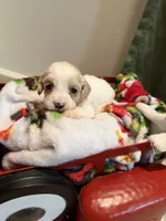 processed/4b8f720d-6725-4097-8065-c13f3b23fff0/listing/a2002fd9-8d29-4cd2-82a8-d2d228211201/af78955f-c5e6-4197-9e45-787da476b9fe