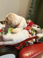 processed/4b8f720d-6725-4097-8065-c13f3b23fff0/listing/a2002fd9-8d29-4cd2-82a8-d2d228211201/c8806c51-4f63-490b-a672-d0f3c740ac80