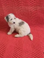 processed/4b90f158-e21a-4d59-a327-cc5ee78040ea/listing/9950b04c-6c43-4ade-aeb0-c9670343a189/45f943db-c88b-49e5-936a-ac7f8d1b3cad