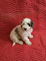 processed/4b90f158-e21a-4d59-a327-cc5ee78040ea/listing/9950b04c-6c43-4ade-aeb0-c9670343a189/87459252-4ab0-4f6c-9691-9d14d9ab220a