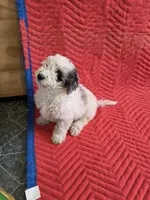 processed/4b90f158-e21a-4d59-a327-cc5ee78040ea/listing/9950b04c-6c43-4ade-aeb0-c9670343a189/9289a0b6-d82d-4edb-9f5a-9643684ef8b4