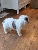 processed/4b90f158-e21a-4d59-a327-cc5ee78040ea/listing/9950b04c-6c43-4ade-aeb0-c9670343a189/d4714924-8a36-4212-a5d5-6b3cf879ceb4