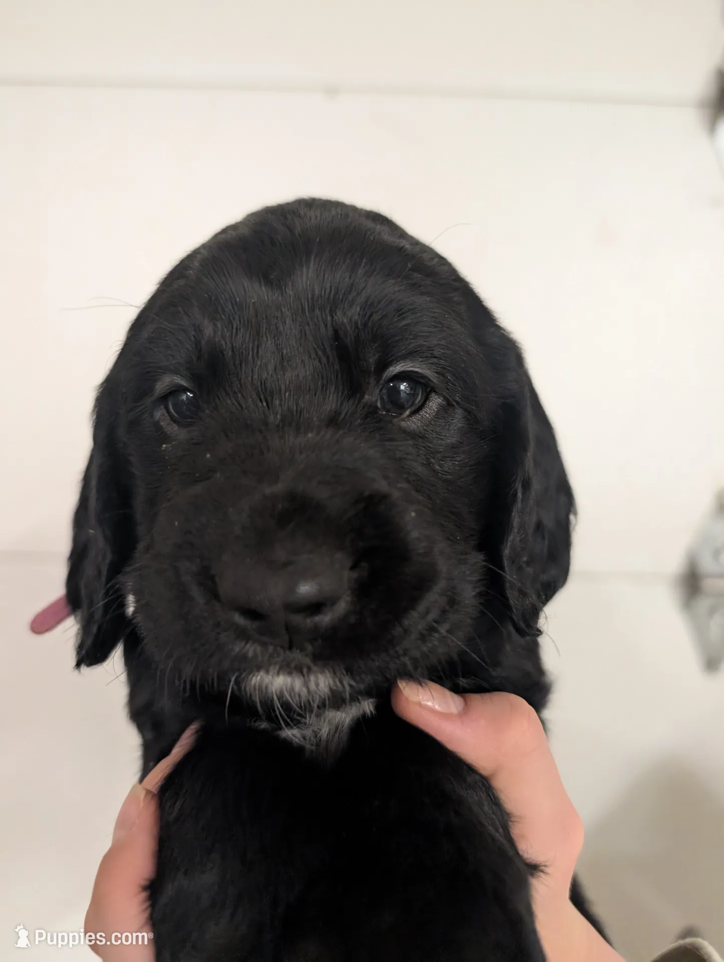 processed/4b9d04b8-4fae-4788-bbda-5d26d20fe9c9/listing/01ff484e-be09-49c2-a333-afeeb2f4d178/3ca1b4fd-8687-4943-a77e-fd2d65042ee2