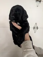 processed/4b9d04b8-4fae-4788-bbda-5d26d20fe9c9/listing/e86fbbcd-e247-4785-9057-f3ba9e5455cc/2793f08b-aedc-4497-a403-57cc491a3bc4