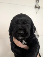 processed/4b9d04b8-4fae-4788-bbda-5d26d20fe9c9/listing/e86fbbcd-e247-4785-9057-f3ba9e5455cc/6c44c36a-8db4-417b-9fae-de8adea2be24