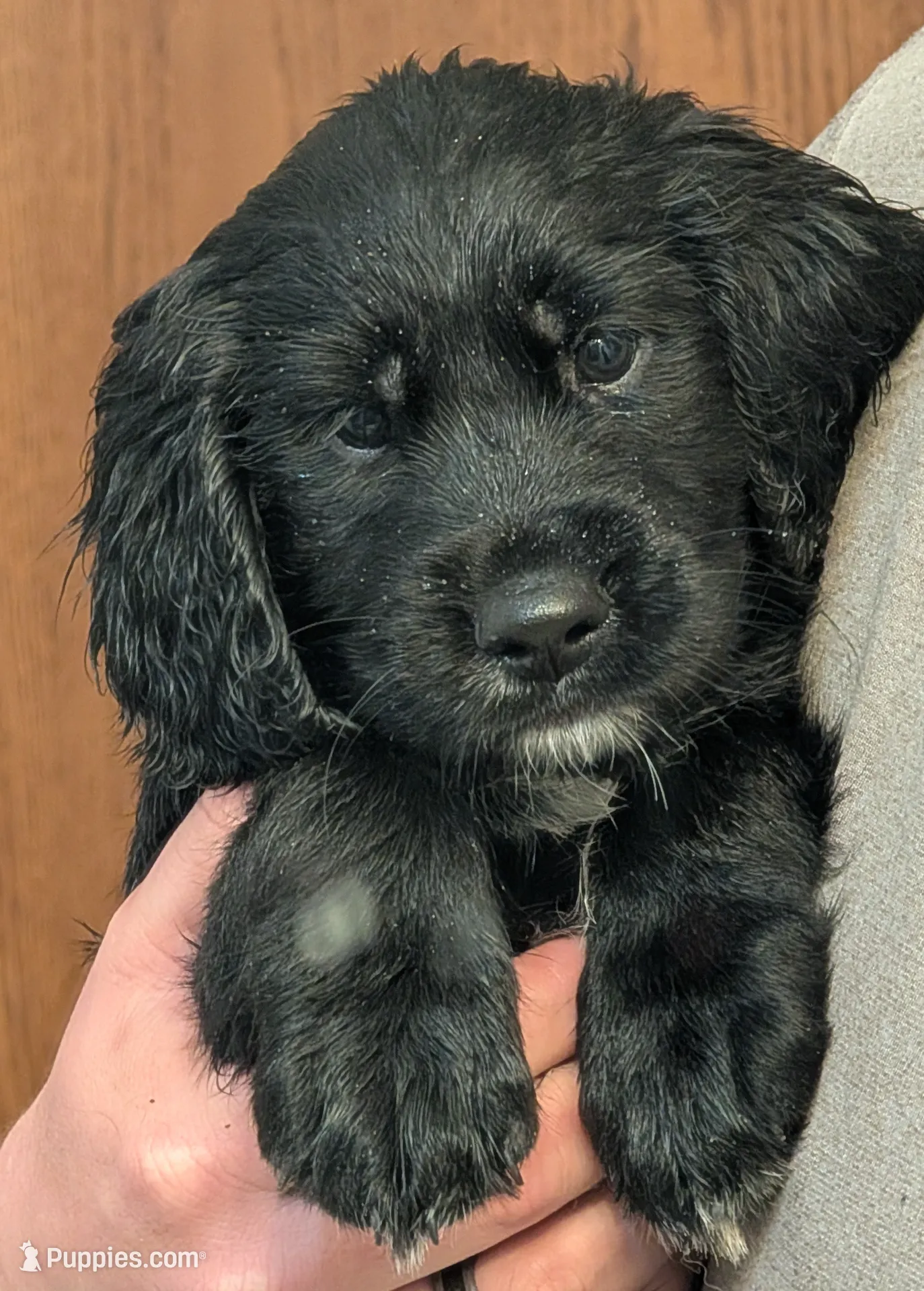 processed/4b9d04b8-4fae-4788-bbda-5d26d20fe9c9/listing/e86fbbcd-e247-4785-9057-f3ba9e5455cc/b7eabf8e-cf81-484e-ac5d-39ed9ddfa836