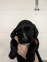 processed/4b9d04b8-4fae-4788-bbda-5d26d20fe9c9/listing/ff143afb-92e8-4d7a-9bc2-e227822dd01f/01e45248-3d5e-46a3-92c1-cc4ac0f9d8a1