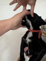 processed/4b9d04b8-4fae-4788-bbda-5d26d20fe9c9/listing/ff143afb-92e8-4d7a-9bc2-e227822dd01f/37f48da7-ac31-4855-b632-0ebc698646b2