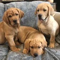 processed/4bb3015a-f3dc-497b-97f9-1dc8ec44362e/facility/c6ca5229-4957-42f5-91e6-31265625d69a